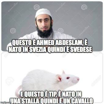 12472267_1698883740397598_5326765513895202096_n