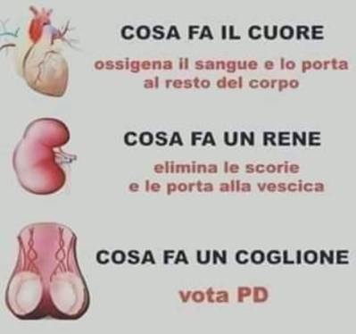 65940103_383302325638134_9155394696107786240_n