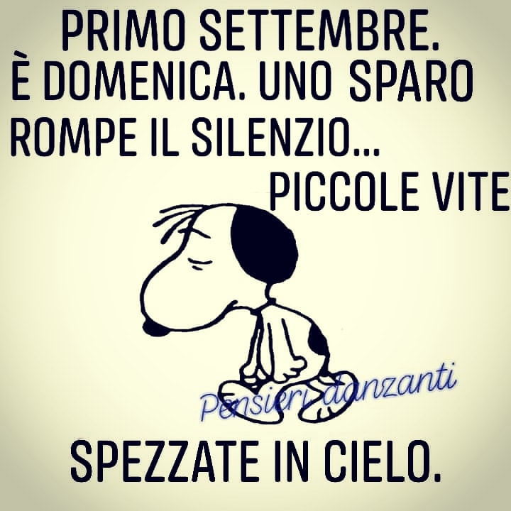 69513022_883915781995079_4765396799097667584_n