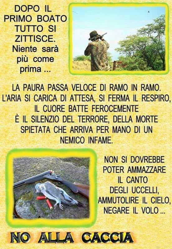 69516720_1347087532105458_2636114664152367104_n