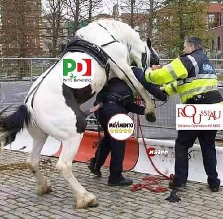 69664920_3331714106846725_2856478866195611648_n