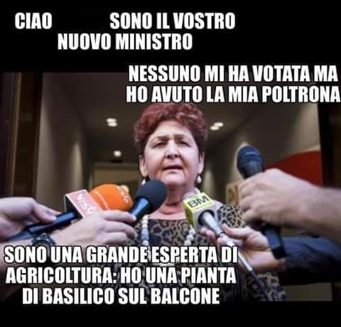 69875345_2435999306489500_7614329274610221056_n