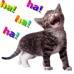 humour-mdr-chat-eclatant-de-rire-hahaha_imagesia-com_953