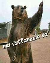 19105909_1930258003925922_3077759174700252482_n