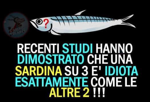 80120196_171533873909195_1794322098001281024_n