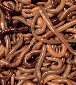 110747589-c73cb2f9-d32a-4401-9345-4fb8cf189ef1