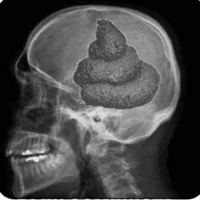 87750187_10216276786731647_6516821360746954752_n