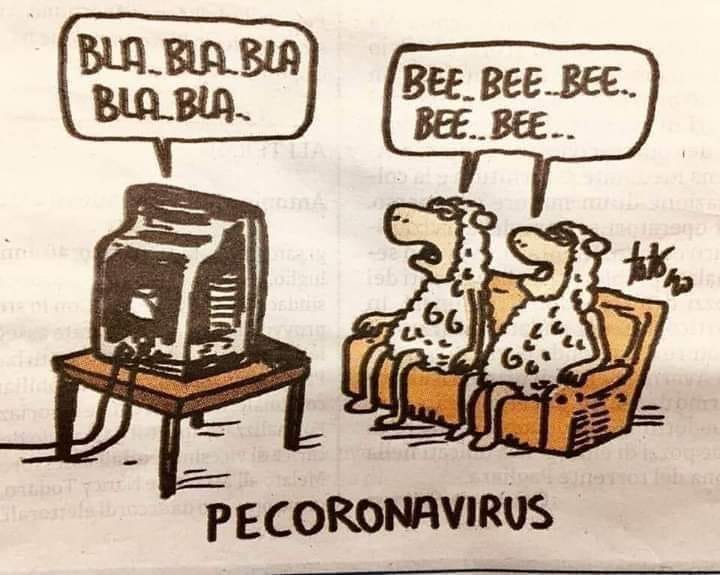 92713197_665856193983011_656919925142585344_n