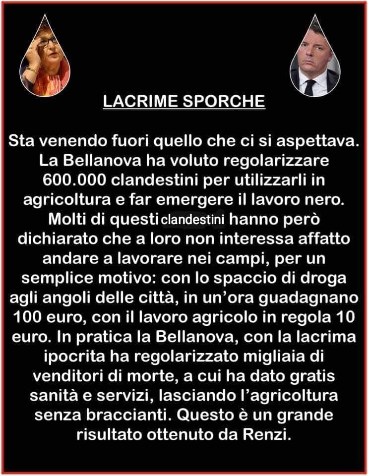 100702156_2681697422048252_651162719050792960_n