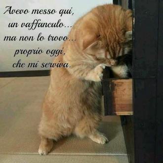 93259199_885362691903463_169680624423010304_n