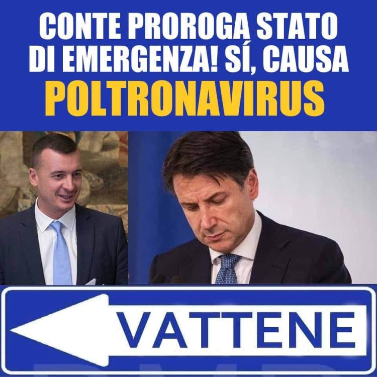 116871194_1968383433298768_2849852825164280835_n