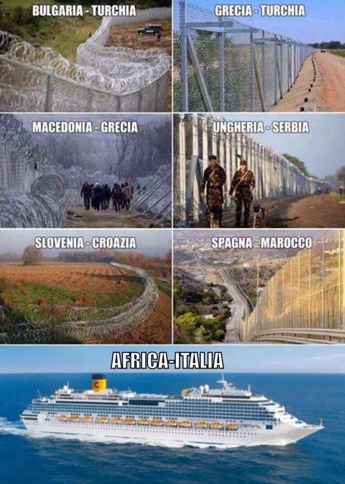 19657432_1376679809119733_804997964708037999_n