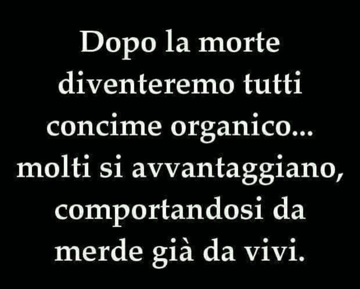 19732033_685911001603156_6637146539508625005_n